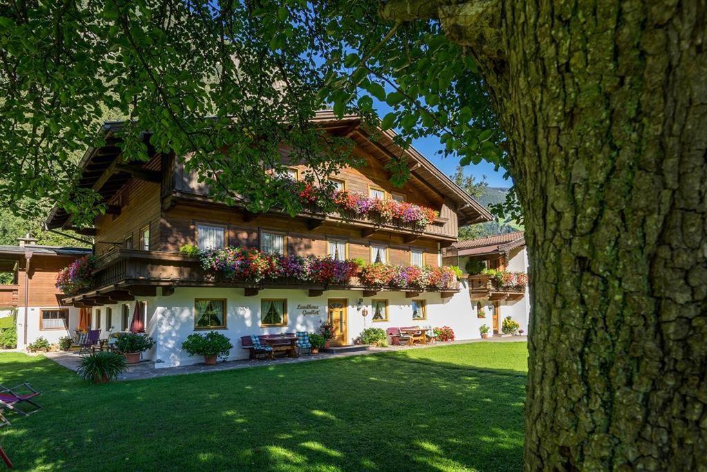 Landhaus Gredler مايرهوفن المظهر الخارجي الصورة